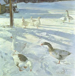 Snowfeeders, 1999